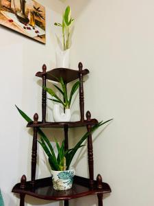a shelf with two plants on it next to a wall at Inspiria Condominium Tower, beside Abreeza Ayala Mall, Davao City in Davao City