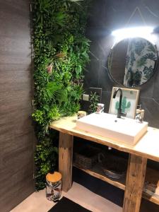 a bathroom with a sink and a green wall at Le cocon du rondeau(gîte cosy) in Labergement-Sainte-Marie