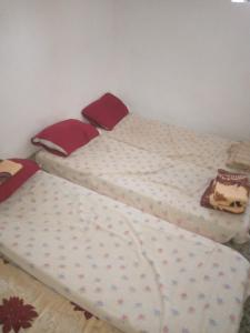 Postel nebo postele na pokoji v ubytování Guest house tassaoute