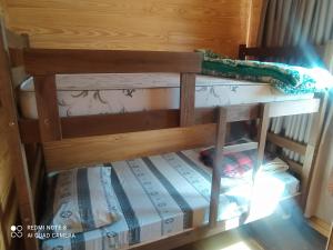 Bunk bed o mga bunk bed sa kuwarto sa Casa Container Amarela