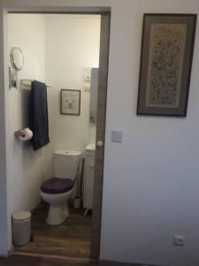 uma casa de banho com um WC com um assento roxo em Chalet d'une chambre avec terrasse et wifi a Les Breviaires em Les Bréviaires