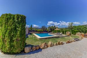 a large green bush next to a swimming pool at Villa Can Martin by Sealand Villas in Pollença