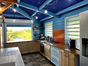 eine Küche mit blauen Wänden und einem großen Fenster in der Unterkunft Maison de 3 chambres avec piscine privee terrasse et wifi a Sainte Anne a 9 km de la plage in Sainte-Anne