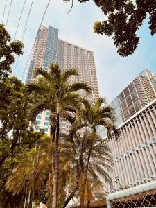 a group of palm trees in front of tall buildings at One-bedroom Condo with Balcony in Manila near US Embassy in Manila