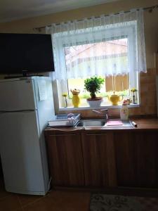 Kuchyňa alebo kuchynka v ubytovaní Apartmánový dom Anna