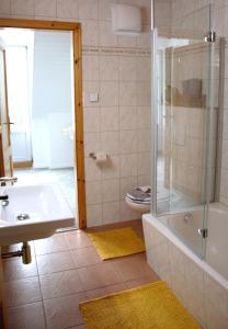 uma casa de banho com um chuveiro, um lavatório e um WC. em Rosenwinkel Maisonettewohnung DG em Halberstadt