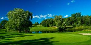 einen grünen Golfplatz mit einem Teich und Bäumen in der Unterkunft Hampton Inn & Suites Big Rapids, Mi in Big Rapids