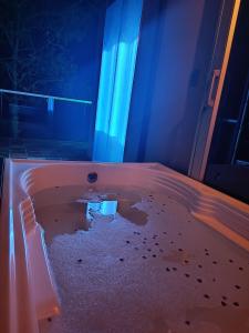 Amonitas Glamping Deluxe في Tinjacá: حوض استحمام مع بركة من الماء في الغرفة