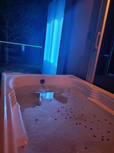 a bath tub with a puddle of water in a room at Amonitas Glamping Deluxe in Tinjacá