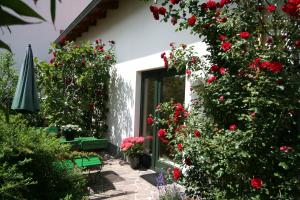 Galeriebild der Unterkunft Auf dem Blumenhof in Heringsdorf