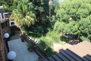 an overhead view of a garden with palm trees at Belle Vue Guesthouse in Hartbeespoort