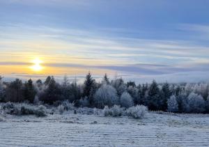 un campo cubierto de nieve con árboles y puesta de sol en The Falls - Value Rooms at Aultnagar Estate, en Lairg