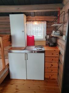 Kuchyň nebo kuchyňský kout v ubytování Bjørgebu Camping AS + 12 fotografií