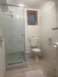 een badkamer met een toilet en een glazen douche bij Katarina in Bled
