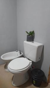 ein Badezimmer mit einem WC und einer Pflanze darüber in der Unterkunft Casa en Boca del Río in Las Tapias