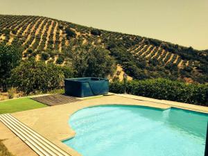 ein Schwimmbad vor einem Hügel mit einem Weinberg in der Unterkunft 4 bedrooms house with shared pool and wifi at Granada in Montefrío