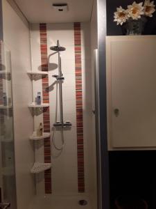 a bathroom with a shower with a cross on the wall at Chez Domi Jardin du bourg in Javerlhac-et-la-Chapelle-Saint-Robert
