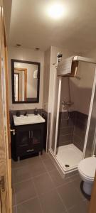a bathroom with a shower and a sink and a toilet at Piso céntrico al lado de Oviedo in Lugones