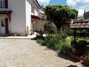 a courtyard of a house with a tree and plants at Chez Domi Jardin du bourg in Javerlhac-et-la-Chapelle-Saint-Robert