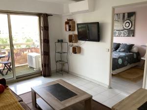 Televízia a/alebo spoločenská miestnosť v ubytovaní Appartement 2 pièces meublés à Juan Les Pins