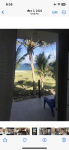 a picture of a view of a palm tree at Oceanfront Luxury 2Br Villa in Saint Philip