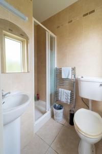 a bathroom with a toilet and a sink and a shower at Tigh Gwen in Ballyferriter +6 photos