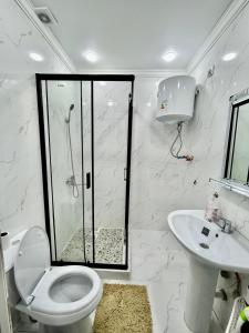 a bathroom with a shower and a toilet and a sink at Keruen Saray Apartments 2 in Türkistan