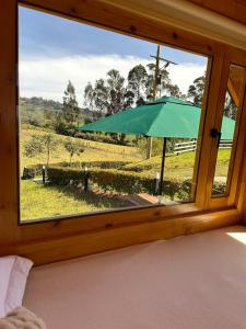 une fenêtre avec un parasol vert donnant sur un champ dans l'établissement Cabaña de ensueño: 9 min centro, à Chiquinquirá