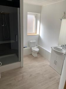 een badkamer met een toilet, een wastafel en een douche bij Appart 2 chambres proche rivière & centre in Saint-Ambroix