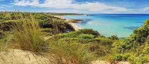 una vista de una playa con el océano en Come Casa Tua, en Carovigno