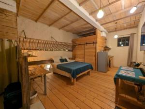 ein Schlafzimmer mit einem Bett und einem Schreibtisch in einem Zimmer in der Unterkunft Logement - Studio indépendant à Pérouges in Pérouges