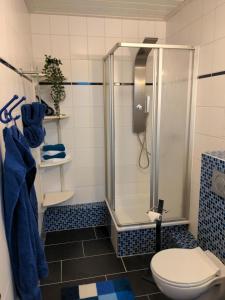 ein Bad mit einer Dusche und einem WC in der Unterkunft Ferienwohnung im Grünen - b49689 in Grebenstein