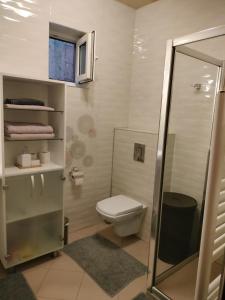 y baño pequeño con aseo y ducha. en Central Apartment in Mihai Viteazu Square en Cluj-Napoca