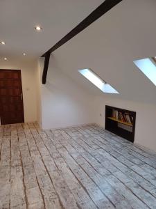 an attic room with a fireplace and skylights at MARLEN in Ústí nad Labem