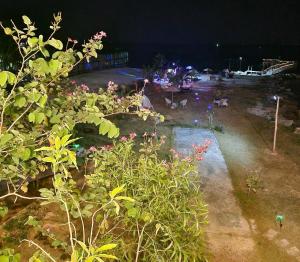 Zahrada ubytování Butterfly Rose Beach Resort Phú Quốc Francophone