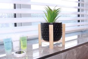 a plant in a black vase sitting on a table at Stunning 3 bedrooms flat at Orchard House in Harlow