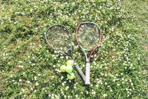 twee tennisrackets en ballen op het gras bij Holiday home at the edge of La Seine near Giverny in Moisson