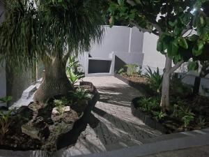 a garden with two trees and a brick walkway at Best View. in Burgersfort