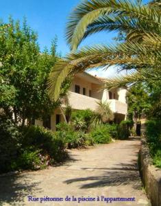 ポルティシオにあるAppartement d'une chambre avec piscine partagee a Grosseto Prugna a 1 km de la plageの建物前のヤシの木