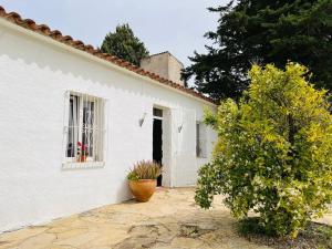 Una casa blanca con un árbol delante. en 3 bedrooms house with private pool terrace and wifi at Albinyana, en Albinyana
