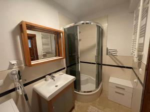 uma casa de banho com um chuveiro e um lavatório. em Apartament Gawra Sauna & Jacuzzi em Zakopane