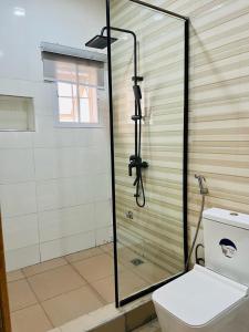 uma cabina de duche na casa de banho com WC em Diaggello Homex Apartment em Lekki