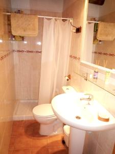 y baño con aseo, lavabo y ducha. en 3 bedrooms house with shared pool and terrace at Ores, en Orés