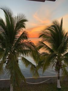 two palm trees in front of the ocean at sunset at HOTEL POSADA DEL MAR in Providencia