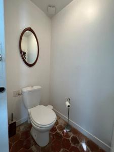 bagno con servizi igienici bianchi e specchio di Propriete d'une chambre avec terrasse et wifi a Essomes sur Marnea a Essômes-sur-Marne