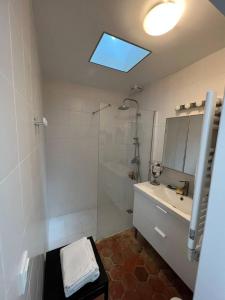 bagno con doccia, lavandino e specchio di Propriete d'une chambre avec terrasse et wifi a Essomes sur Marnea a Essômes-sur-Marne