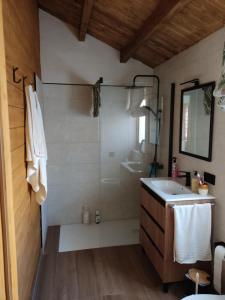 a bathroom with a shower and a sink at El Freginal in Olocau del Rey