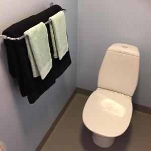 a bathroom with a white toilet and towels at Hangvar Skola Musiksalen in Lärbro