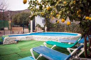 The swimming pool at or close to Almotaje, numero 3