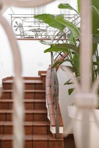 a staircase with a wrought iron rail and a plant at ALBERGO DIFFUSO ROSSI DIMORA Di CHARME in Turi